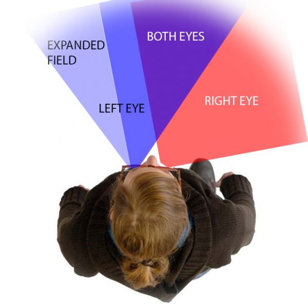 Chadwick Optical, Inc. peripheralprisms10degreegazeshift