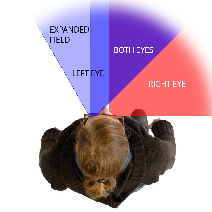 How the Peli Lens Works