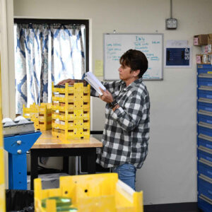 Susan at Chadwick Optical, holding papers and inspecting a stack of yellow trays filled with lenses in the lab.