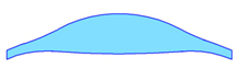 Illustration of Chadwick Optical's Shape 14 lens design, featuring a rounded top and a tapered, narrower bottom.