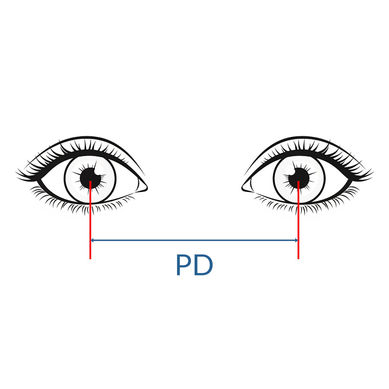 chadwick-optical_eyeglasses-measurements-PD-square chadwick-optical_eyeglasses-measurements-PD-square