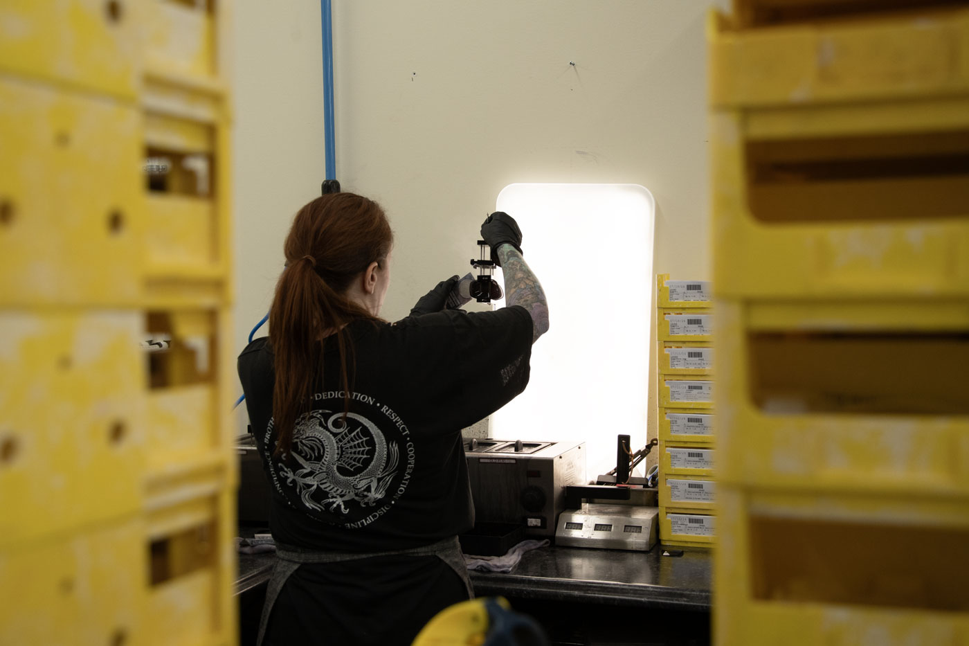 Lab technician checking a lens during the tinting process