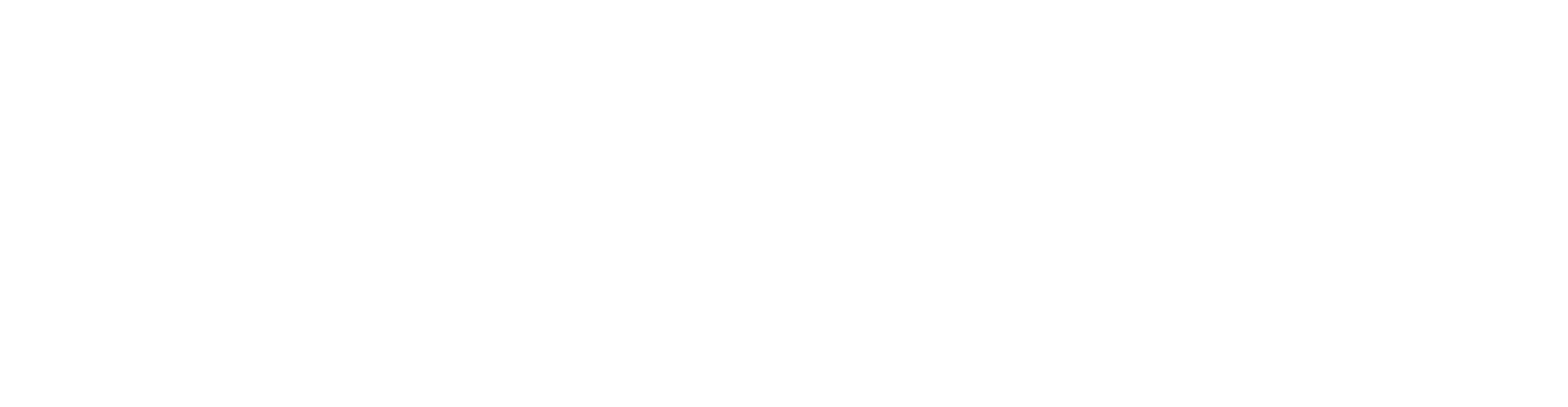Chadwick_Optical_Logo - White