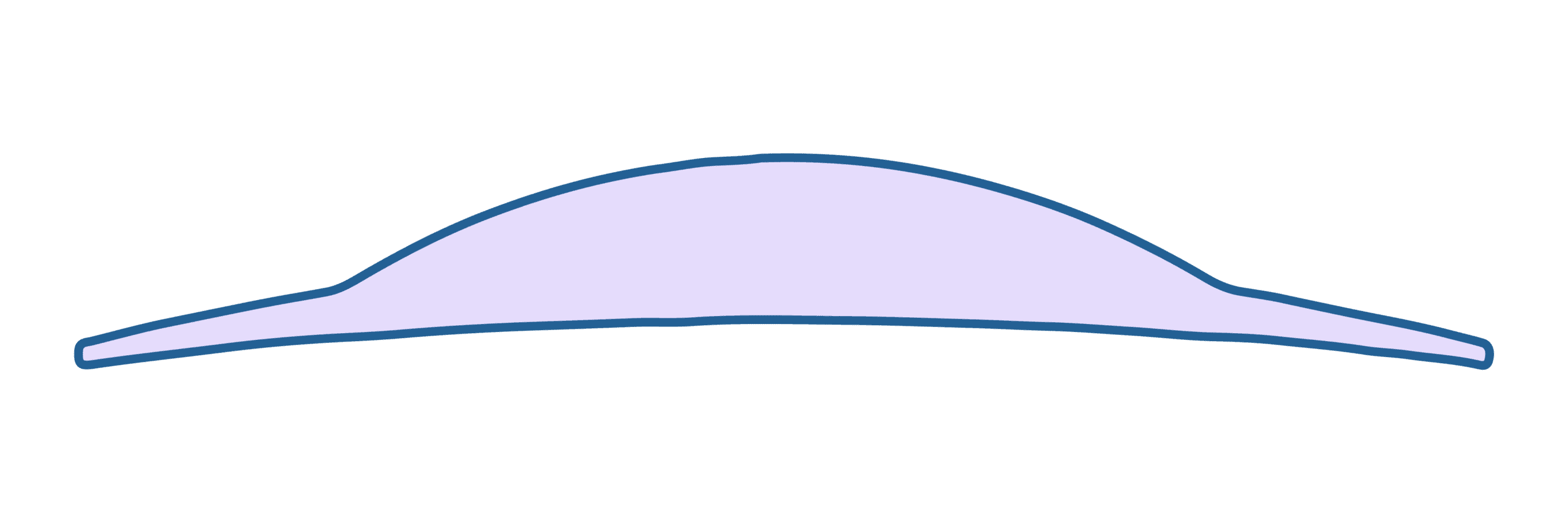 shape-11-lenticular