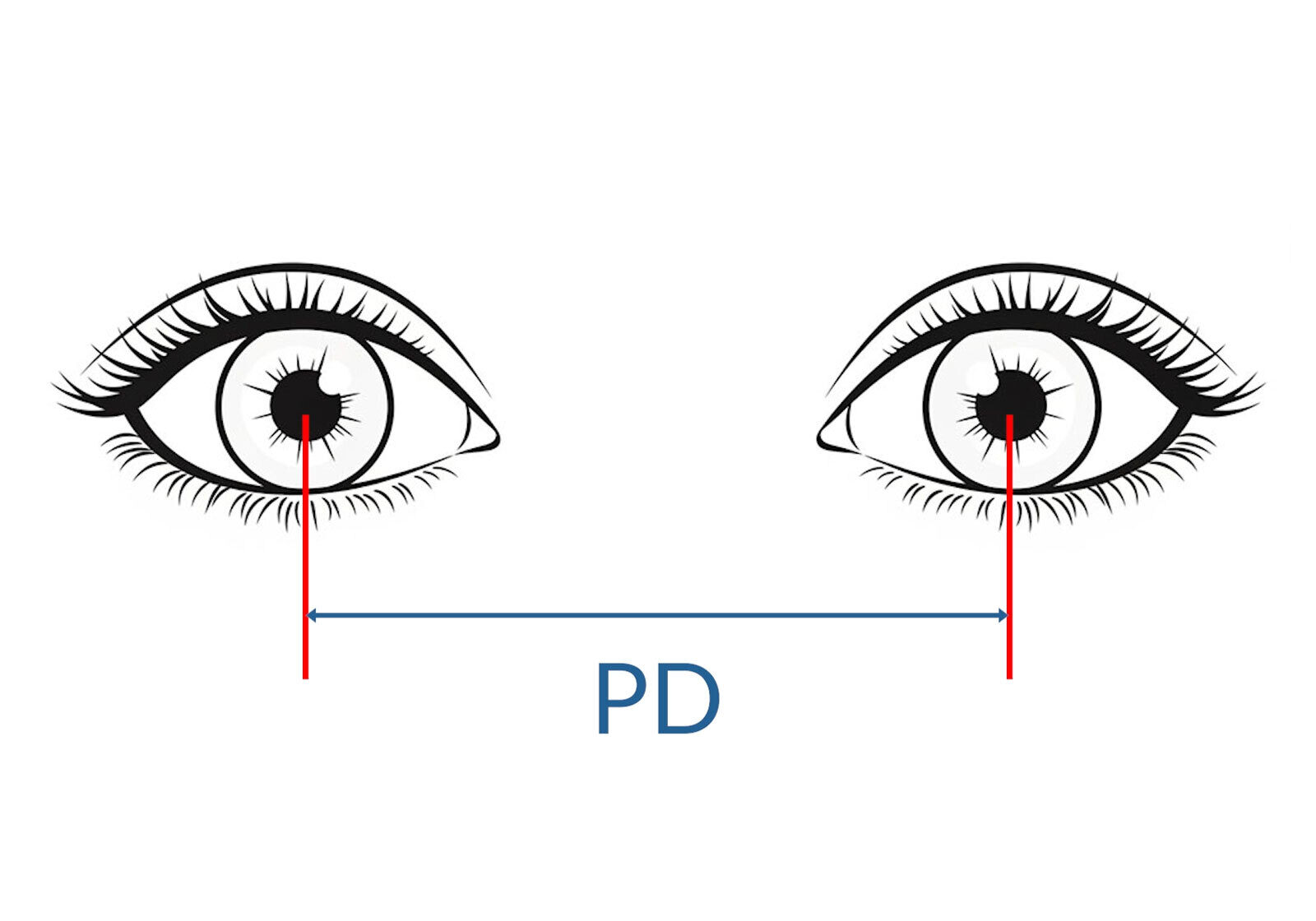 chadwick-optical_eyeglasses-measurements-PD-square chadwick-optical_eyeglasses-measurements-PD-square